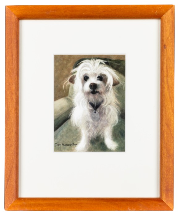 Savannah, white dog
